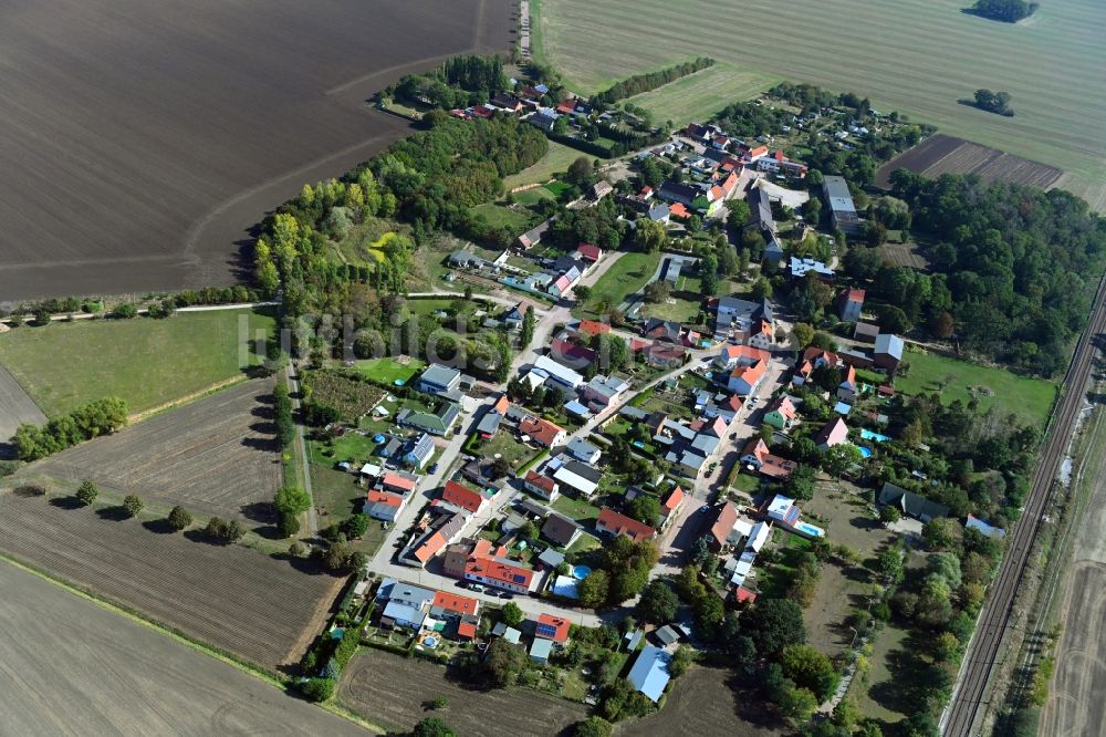 Frenz aus der Vogelperspektive: Dorf - Ansicht in Frenz im Bundesland Sachsen-Anhalt, Deutschland