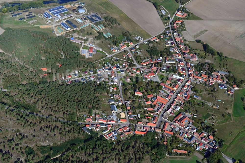 Luftaufnahme Ihleburg - Dorf - Ansicht in Ihleburg im Bundesland Sachsen-Anhalt, Deutschland