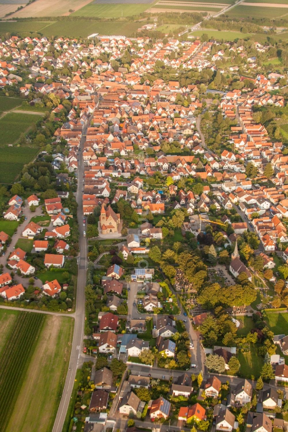 Insheim aus der Vogelperspektive: Dorf - Ansicht in Insheim im Bundesland Rheinland-Pfalz, Deutschland