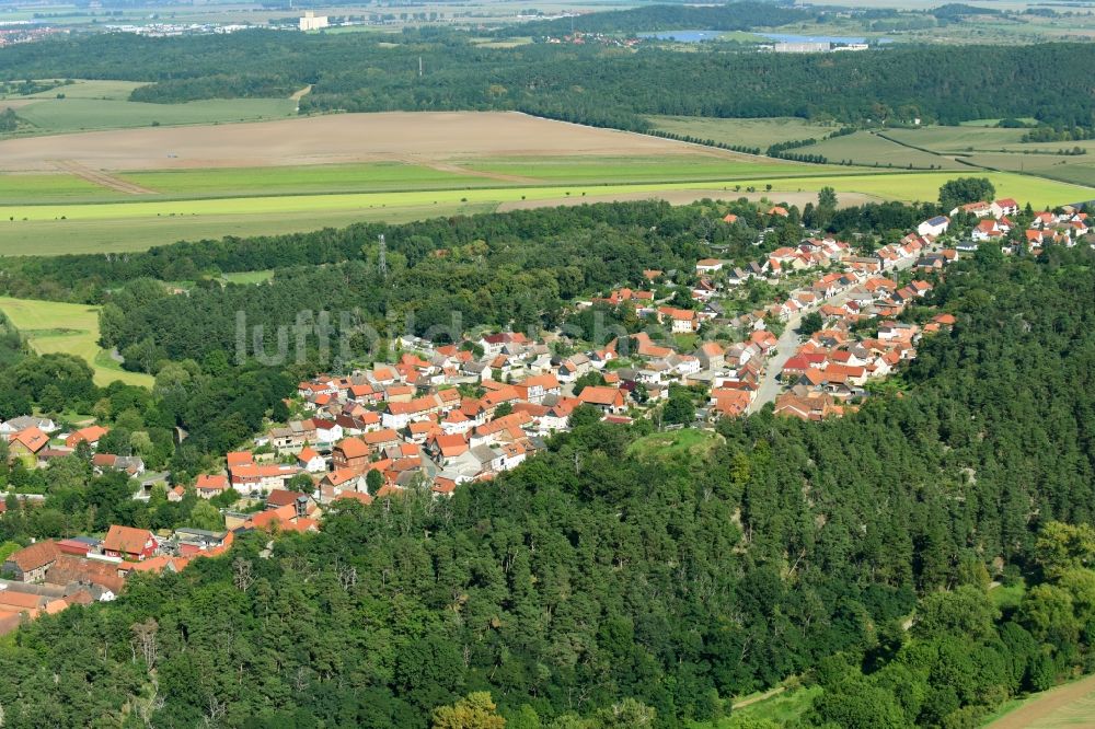 Langenstein von oben - Dorf - Ansicht in Langenstein im Bundesland Sachsen-Anhalt, Deutschland
