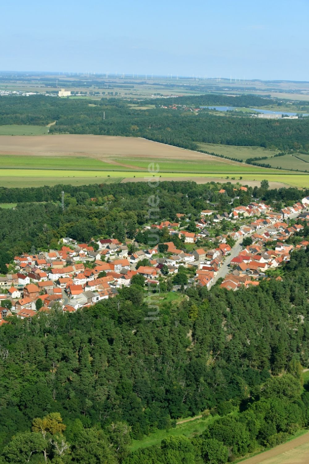 Langenstein aus der Vogelperspektive: Dorf - Ansicht in Langenstein im Bundesland Sachsen-Anhalt, Deutschland
