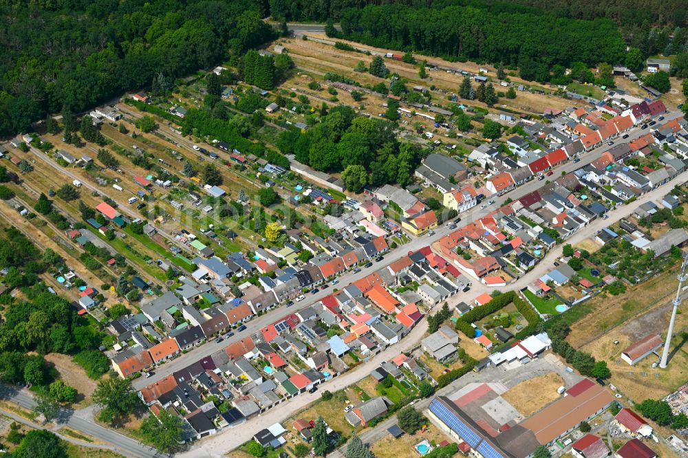 Neu Friedrichsdorf von oben - Dorf - Ansicht in Neu Friedrichsdorf im Bundesland Brandenburg, Deutschland