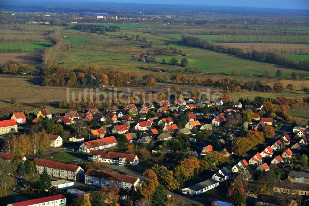 Neuholland aus der Vogelperspektive: Dorf - Ansicht in Neuholland im Bundesland Brandenburg, Deutschland