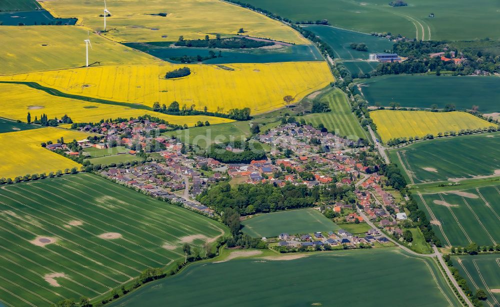 Luftbild Neukirchen - Dorf - Ansicht in Neukirchen im Bundesland Schleswig-Holstein, Deutschland