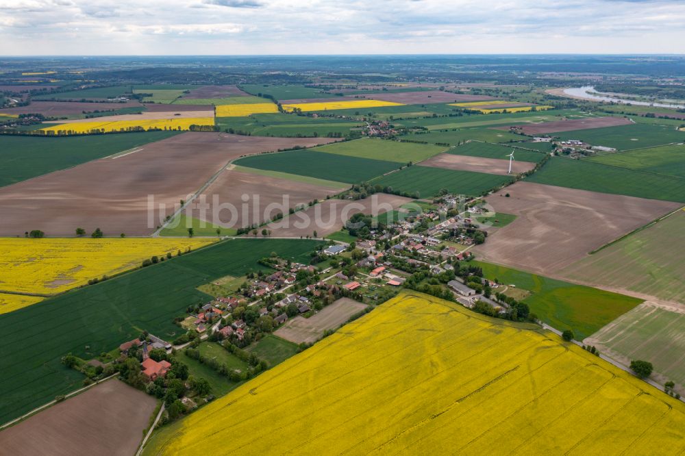Oderaue aus der Vogelperspektive: Dorf - Ansicht in Neuküstrinchen im Bundesland Brandenburg, Deutschland