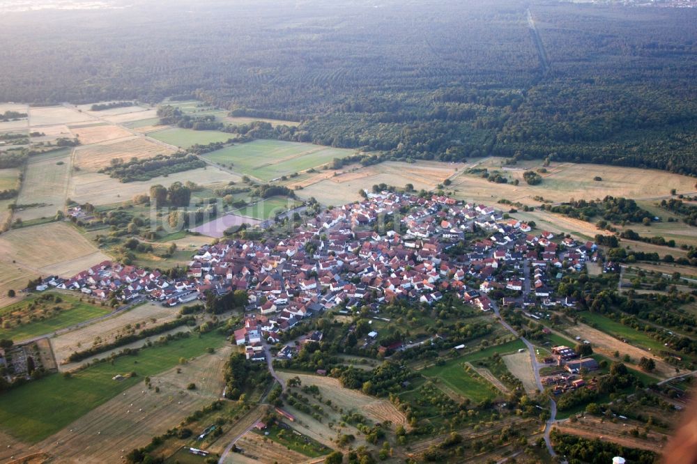 Wörth am Rhein aus der Vogelperspektive: Dorf - Ansicht im Ortsteil Büchelberg in Wörth am Rhein im Bundesland Rheinland-Pfalz