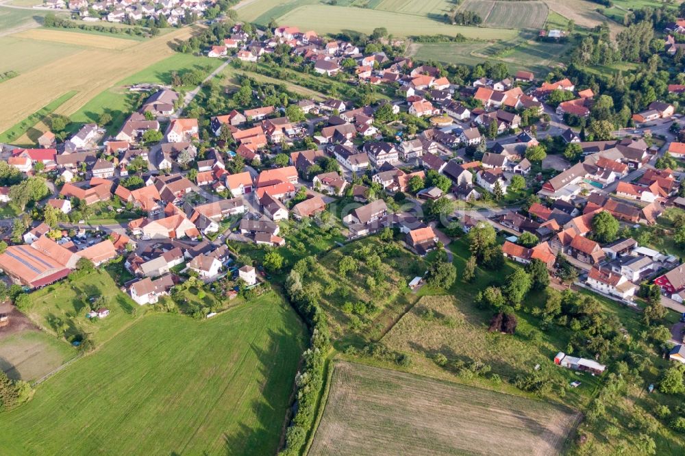 Rheinau aus der Vogelperspektive: Dorf - Ansicht im Ortsteil Linx in Rheinau im Bundesland Baden-Württemberg, Deutschland