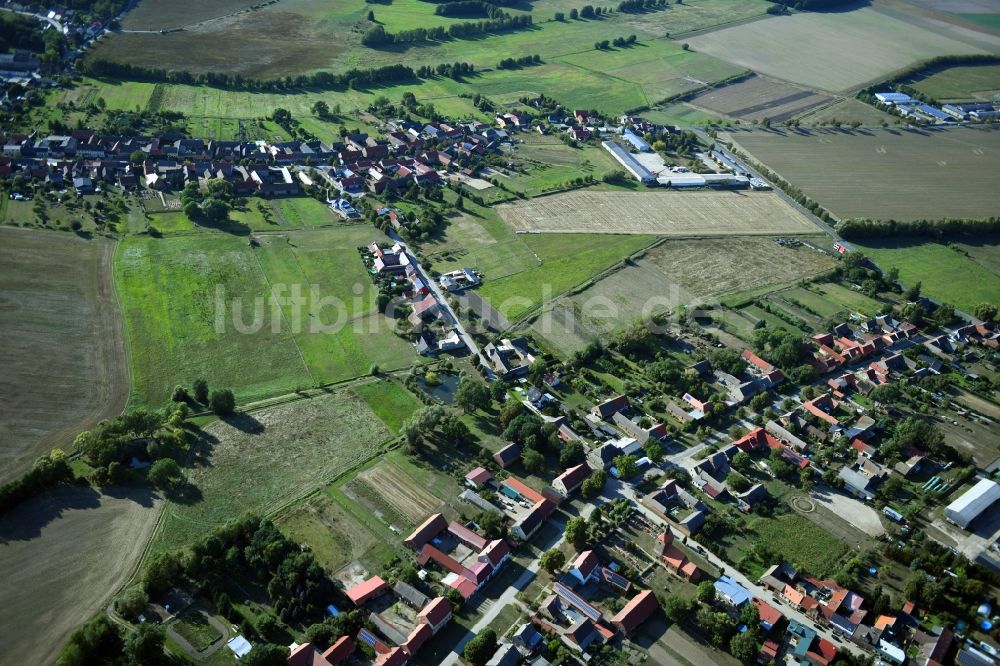 Luftbild Pechüle - Dorf - Ansicht in Pechüle im Bundesland Brandenburg, Deutschland