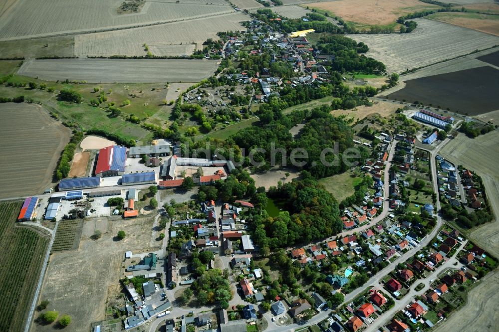 Prussendorf von oben - Dorf - Ansicht in Prussendorf im Bundesland Sachsen-Anhalt, Deutschland