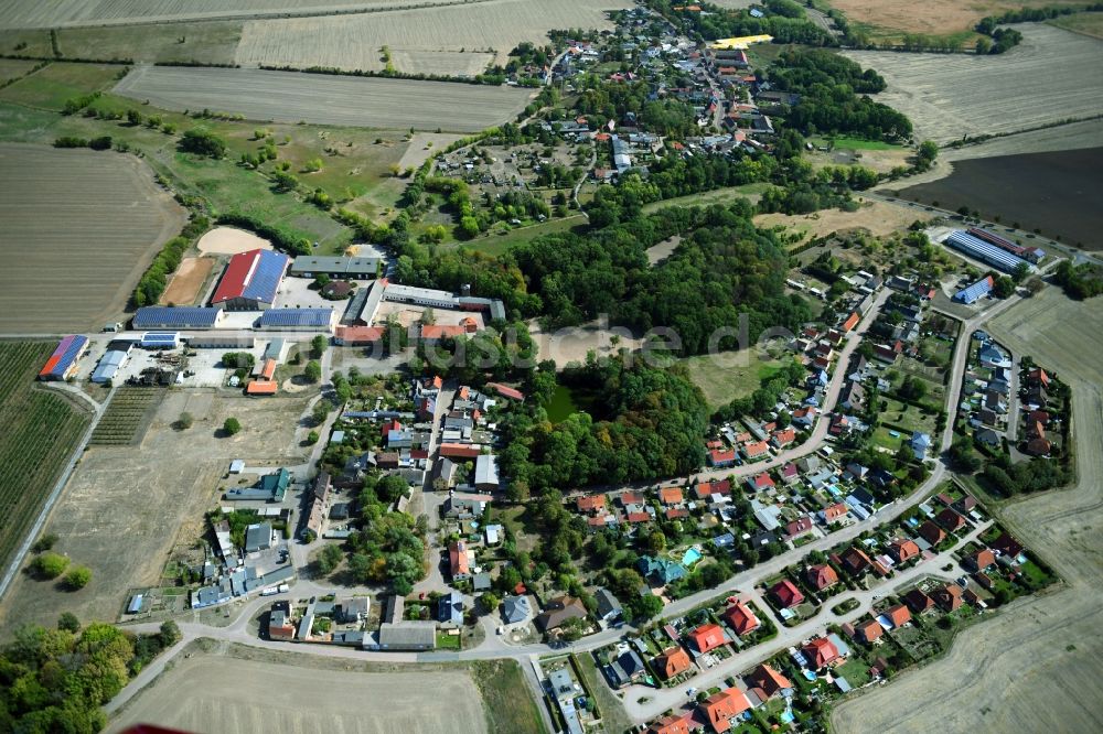 Prussendorf aus der Vogelperspektive: Dorf - Ansicht in Prussendorf im Bundesland Sachsen-Anhalt, Deutschland