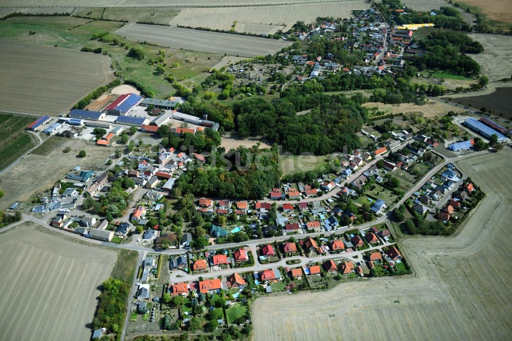 Luftbild Prussendorf - Dorf - Ansicht in Prussendorf im Bundesland Sachsen-Anhalt, Deutschland