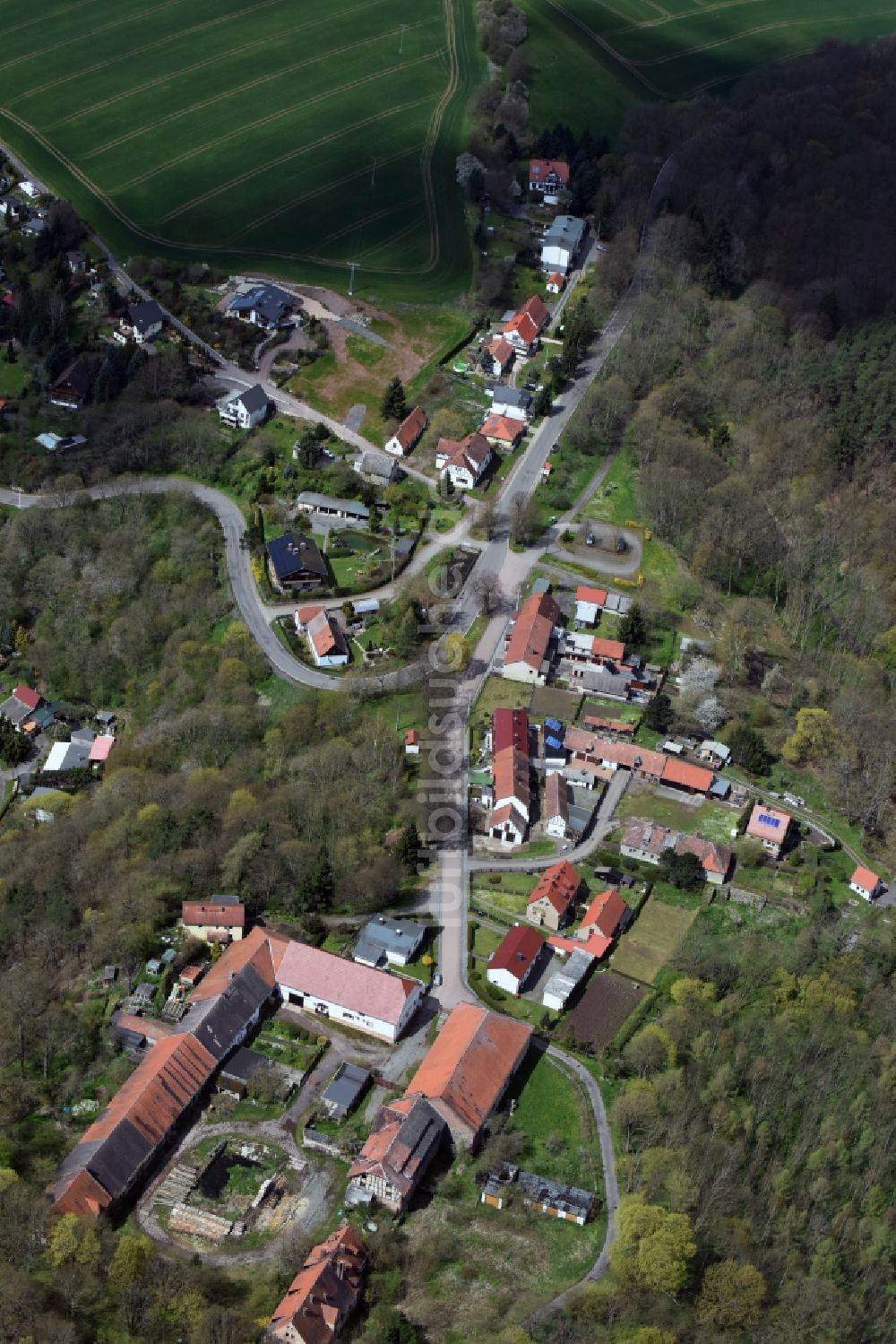 Rammelburg von oben - Dorf - Ansicht von Rammelburg im Bundesland Sachsen-Anhalt