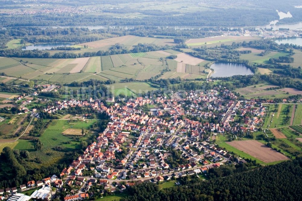 Berg (Pfalz) von oben - Dorf - Ansicht am Rande von Feldern in Berg (Pfalz) im Bundesland Rheinland-Pfalz