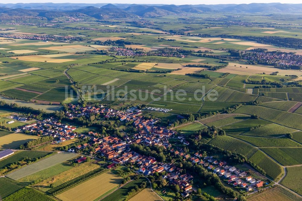 Dierbach von oben - Dorf - Ansicht am Rande von Feldern in Dierbach im Bundesland Rheinland-Pfalz
