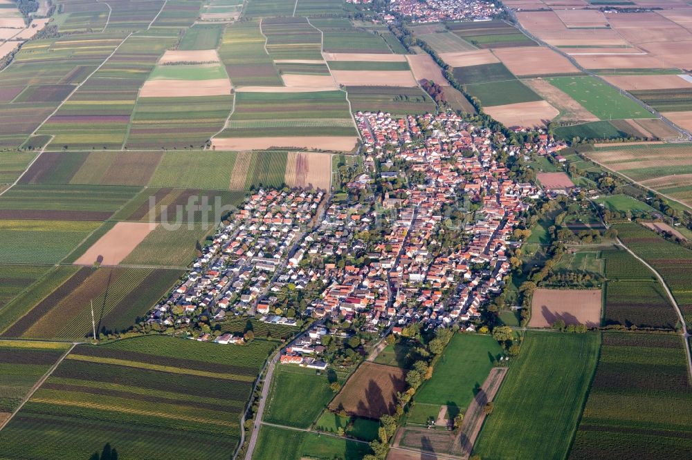 Essingen von oben - Dorf - Ansicht am Rande von Feldern in Essingen im Bundesland Rheinland-Pfalz, Deutschland