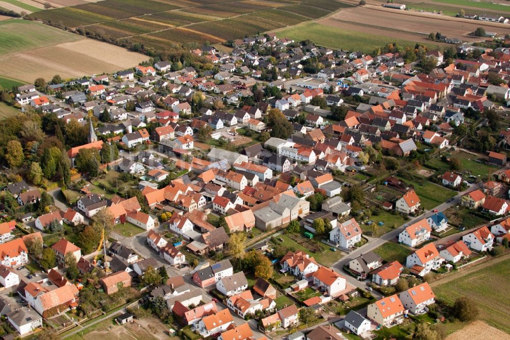 Freckenfeld aus der Vogelperspektive: Dorf - Ansicht am Rande von Feldern in Freckenfeld im Bundesland Rheinland-Pfalz