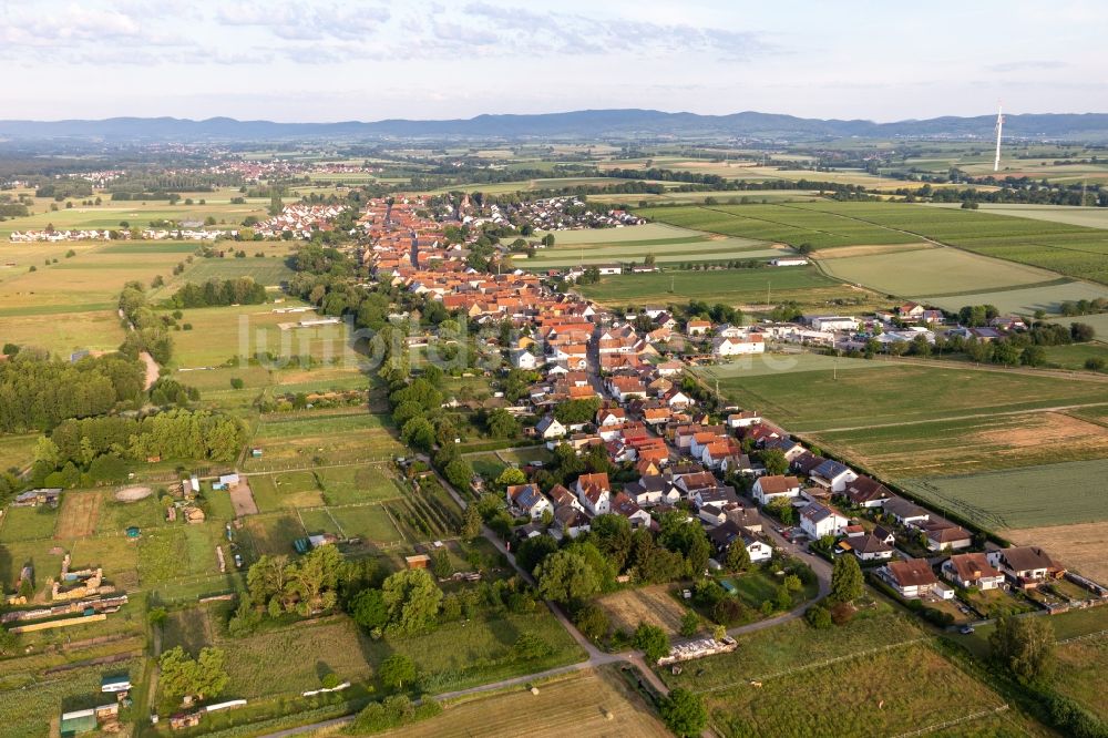 Luftaufnahme Freckenfeld - Dorf - Ansicht am Rande von Feldern in Freckenfeld im Bundesland Rheinland-Pfalz, Deutschland