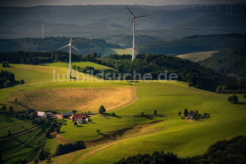 Luftbild Freiamt - Dorf - Ansicht am Rande von Feldern in Freiamt im Bundesland Baden-Württemberg, Deutschland
