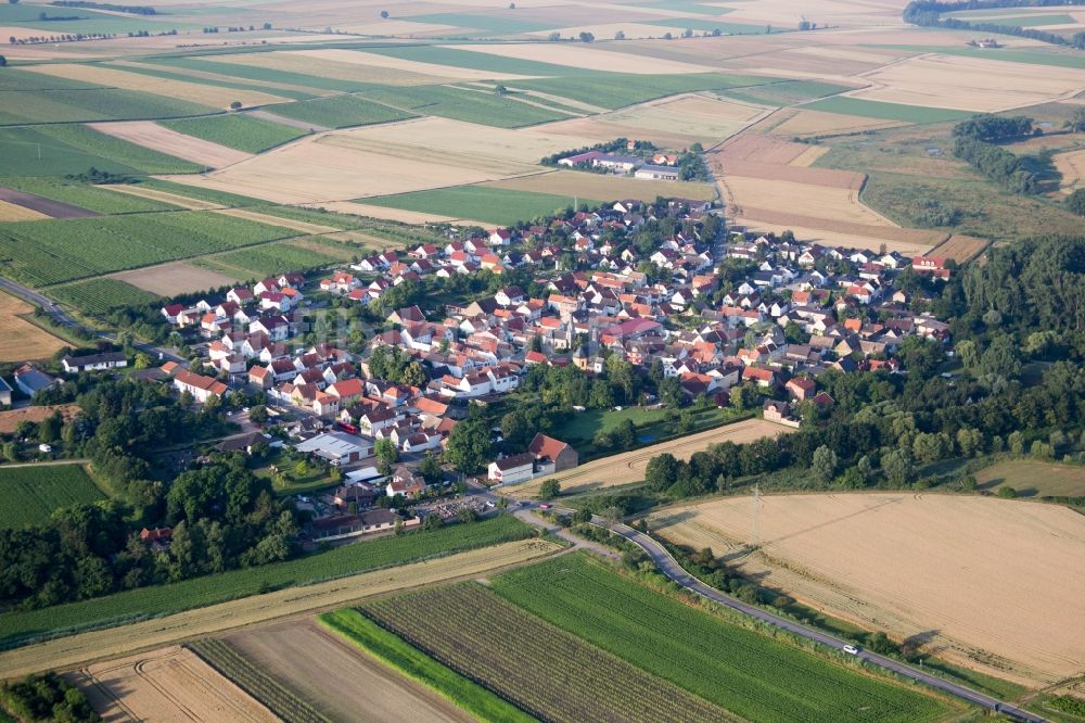 Luftaufnahme Friesenheim - Dorf - Ansicht am Rande von Feldern in Friesenheim im Bundesland Rheinland-Pfalz, Deutschland