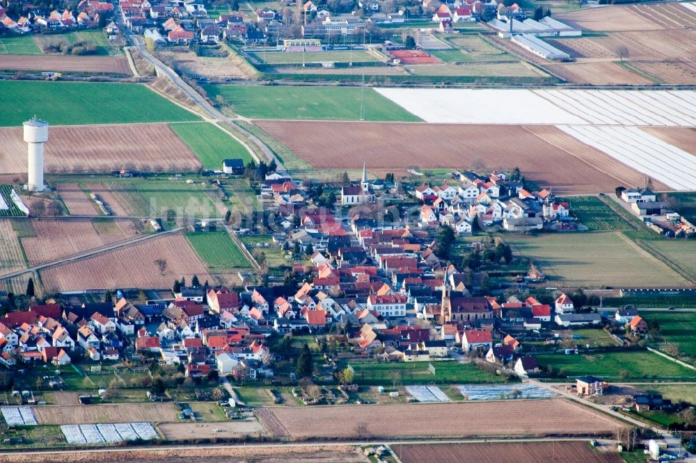 Lustadt von oben - Dorf - Ansicht am Rande von Feldern in Lustadt im Bundesland Rheinland-Pfalz