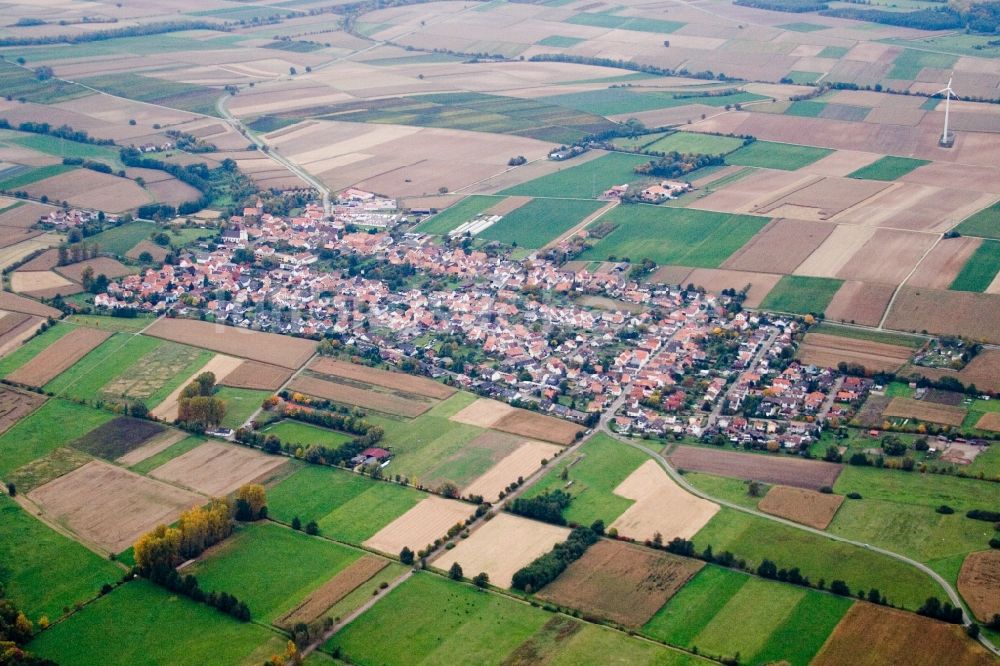 Minfeld von oben - Dorf - Ansicht am Rande von Feldern in Minfeld im Bundesland Rheinland-Pfalz