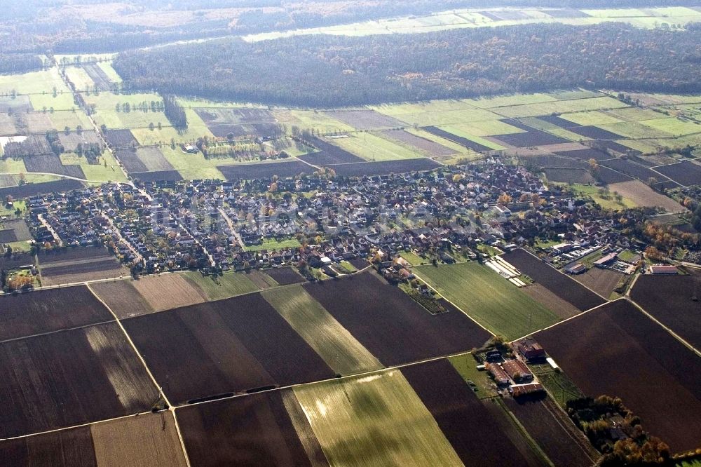 Luftbild Minfeld - Dorf - Ansicht am Rande von Feldern in Minfeld im Bundesland Rheinland-Pfalz