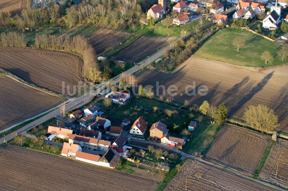 Minfeld von oben - Dorf - Ansicht am Rande von Feldern in Minfeld im Bundesland Rheinland-Pfalz