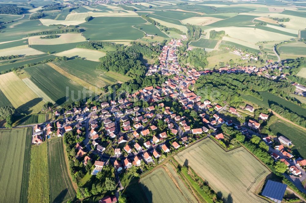Luftbild Néewiller-prés-Lauterbourg - Dorf - Ansicht am Rande von Feldern in Néewiller-prés-Lauterbourg in Grand Est, Frankreich