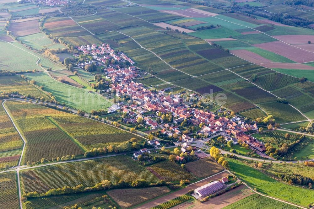 Niederhorbach aus der Vogelperspektive: Dorf - Ansicht am Rande von Feldern in Niederhorbach im Bundesland Rheinland-Pfalz, Deutschland