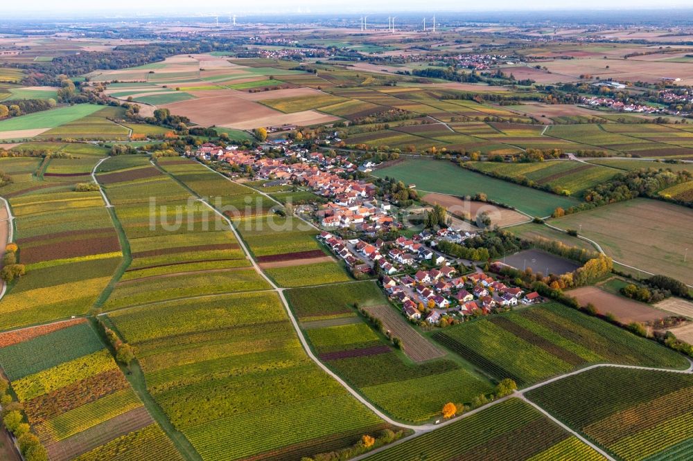 Niederhorbach von oben - Dorf - Ansicht am Rande von Feldern in Niederhorbach im Bundesland Rheinland-Pfalz, Deutschland