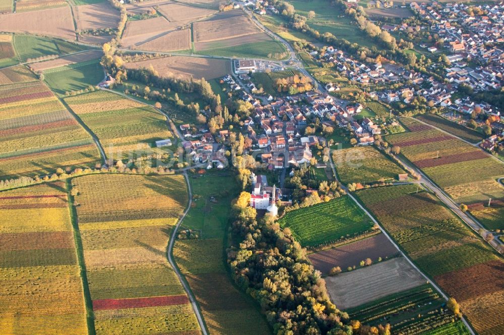 Luftaufnahme Billigheim-Ingenheim - Dorf - Ansicht am Rande von Feldern im Ortsteil Appenhofen in Billigheim-Ingenheim im Bundesland Rheinland-Pfalz, Deutschland