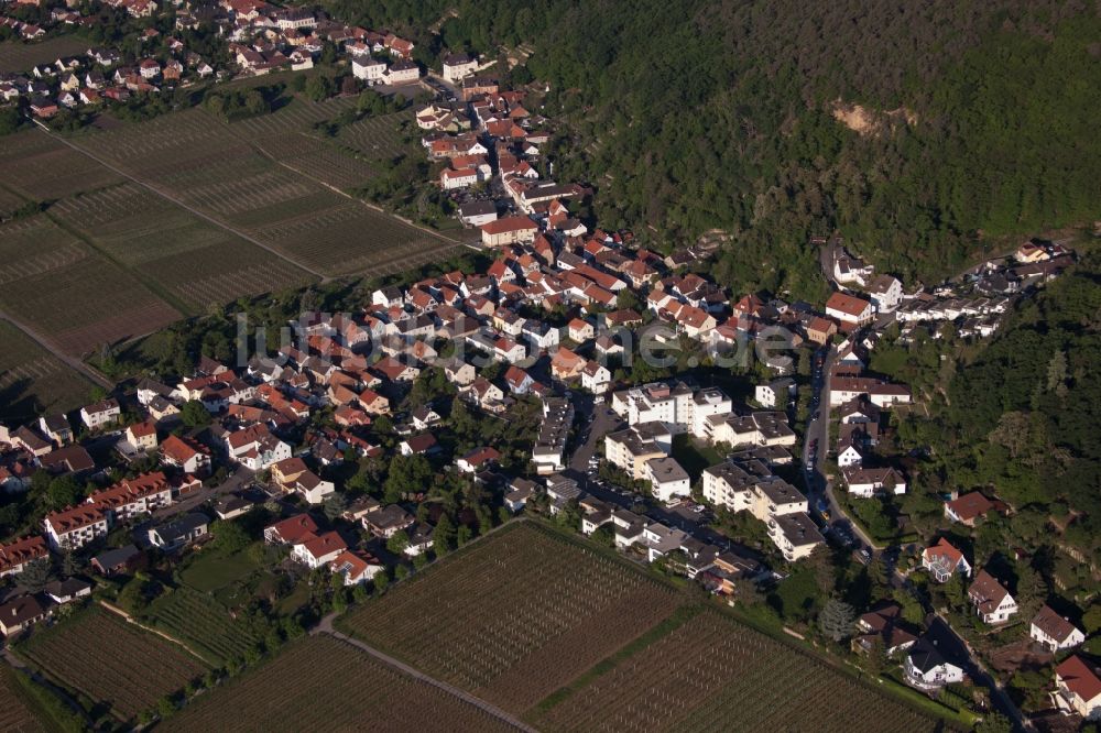 Luftbild Neustadt an der Weinstraße - Dorf - Ansicht am Rande von Feldern im Ortsteil Haardt in Neustadt an der Weinstraße im Bundesland Rheinland-Pfalz, Deutschland