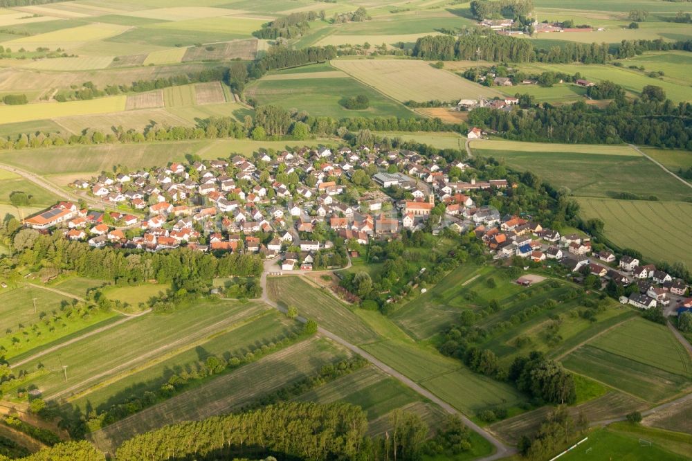 Luftaufnahme Rheinau - Dorf - Ansicht am Rande von Feldern im Ortsteil Honau in Rheinau im Bundesland Baden-Württemberg, Deutschland