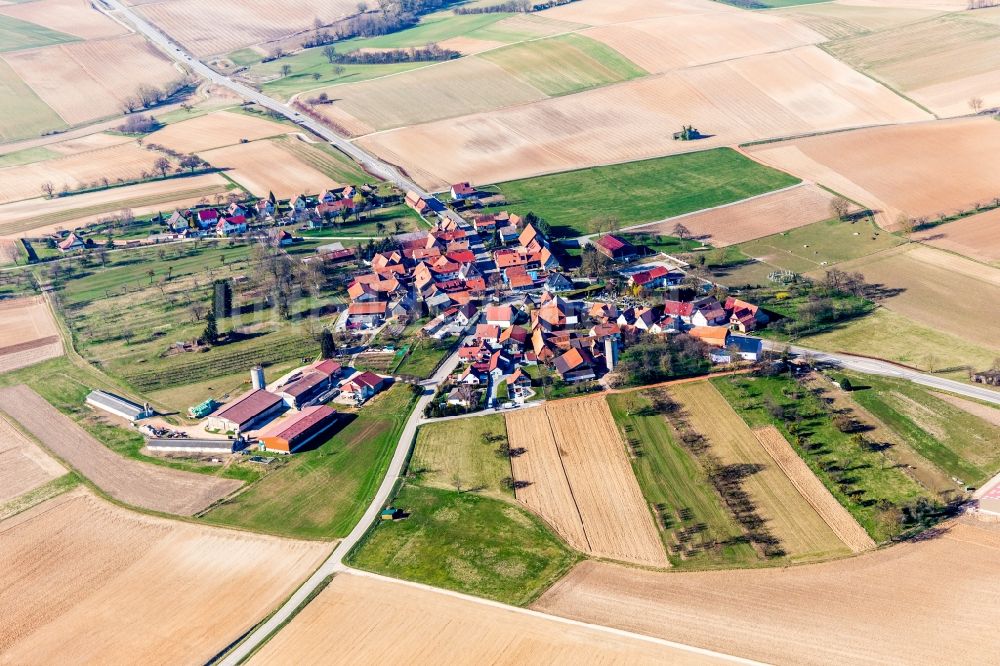 Betschdorf aus der Vogelperspektive: Dorf - Ansicht am Rande von Feldern im Ortsteil Kuhlendorf in Betschdorf in Grand Est, Frankreich