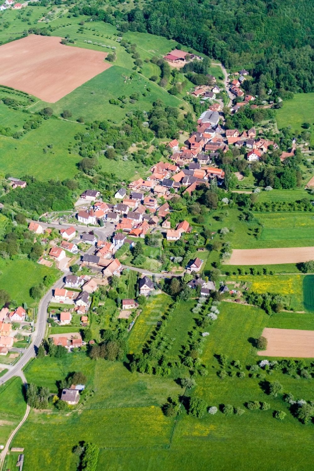 Gœrsdorf von oben - Dorf - Ansicht am Rande von Feldern im Ortsteil Mitschdorf in Gœrsdorf in Grand Est, Frankreich