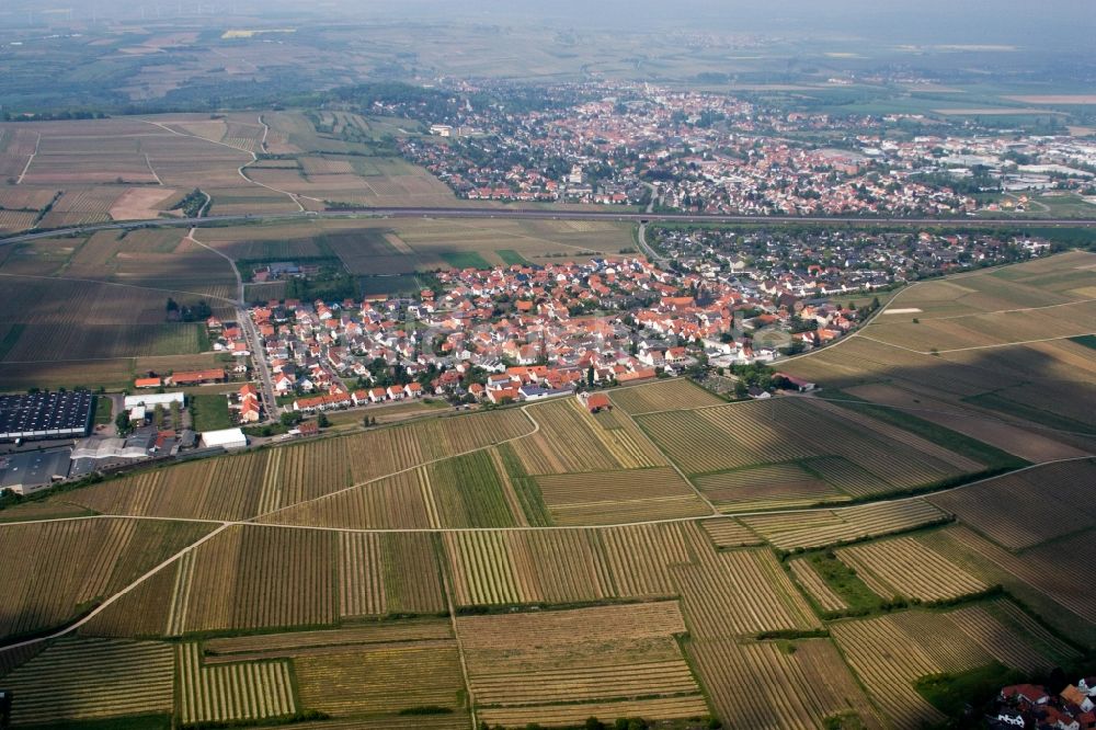 Grünstadt von oben - Dorf - Ansicht am Rande von Feldern im Ortsteil Sausenheim in Grünstadt im Bundesland Rheinland-Pfalz, Deutschland