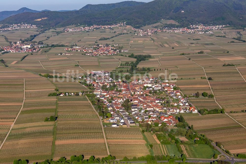 Roschbach aus der Vogelperspektive: Dorf - Ansicht am Rande von Feldern in Roschbach im Bundesland Rheinland-Pfalz, Deutschland