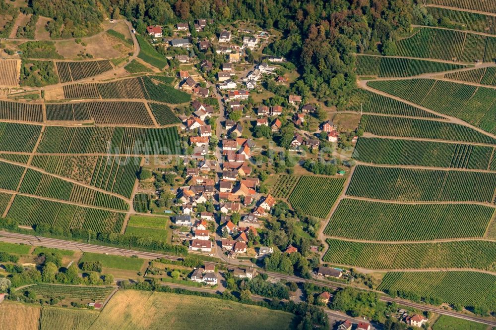 Luftbild Schallstadt - Dorf - Ansicht am Rande von Feldern in Schallstadt im Bundesland Baden-Württemberg, Deutschland