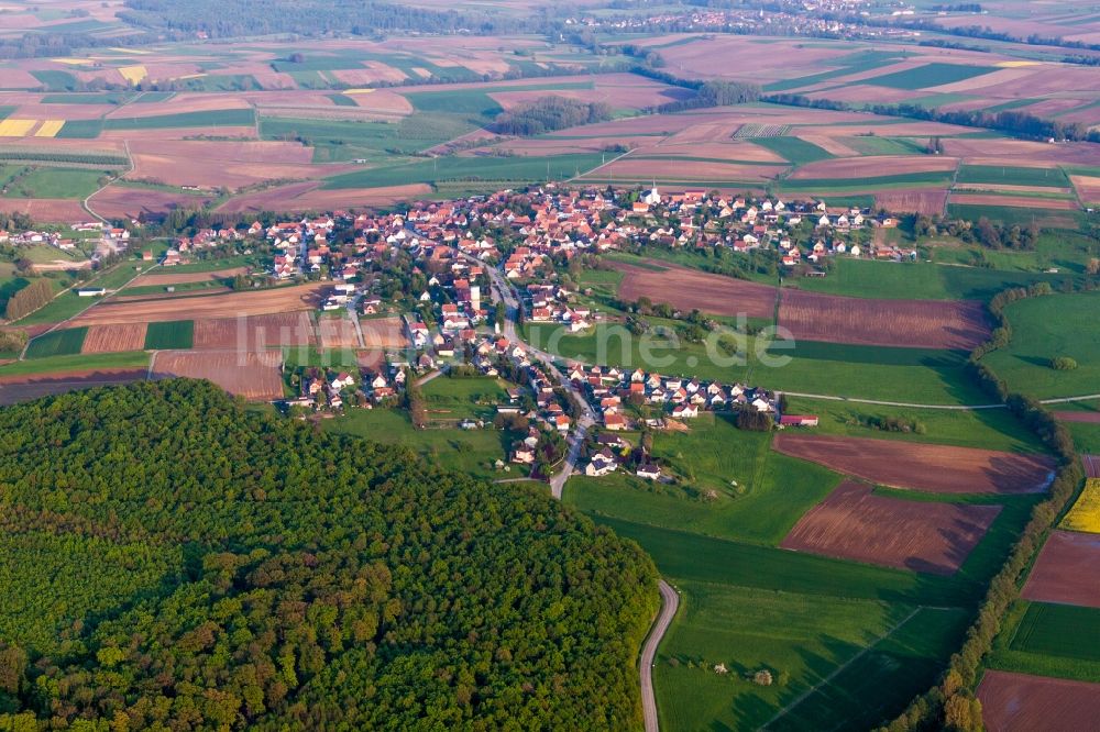Schoenenbourg aus der Vogelperspektive: Dorf - Ansicht am Rande von Feldern in Schoenenbourg in Grand Est, Frankreich