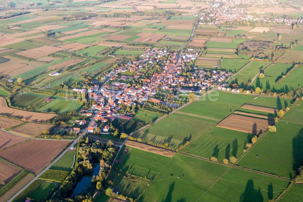 Schweighofen von oben - Dorf - Ansicht am Rande von Feldern in Schweighofen im Bundesland Rheinland-Pfalz, Deutschland