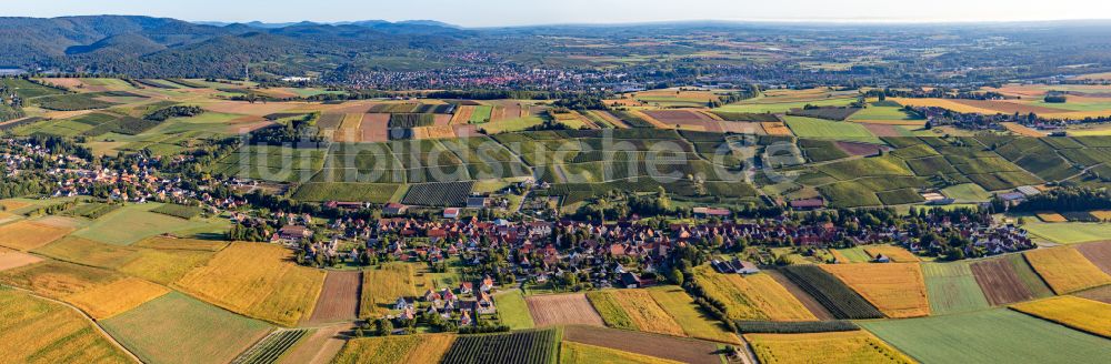Steinseltz von oben - Dorf - Ansicht am Rande von Feldern in Steinseltz in Grand Est, Frankreich