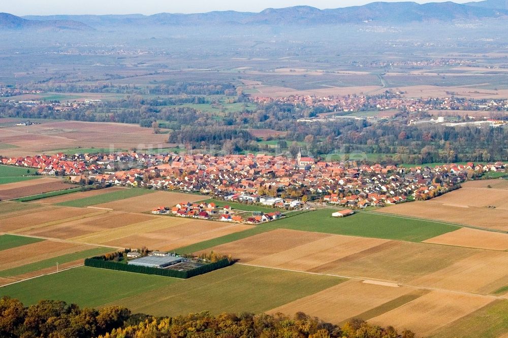 Luftbild Steinweiler - Dorf - Ansicht am Rande von Feldern in Steinweiler im Bundesland Rheinland-Pfalz