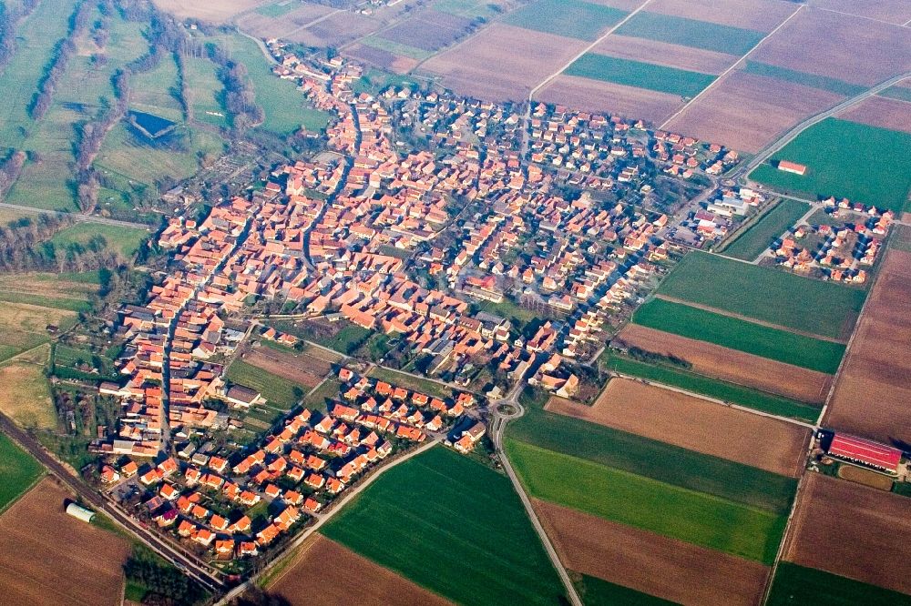 Steinweiler von oben - Dorf - Ansicht am Rande von Feldern in Steinweiler im Bundesland Rheinland-Pfalz