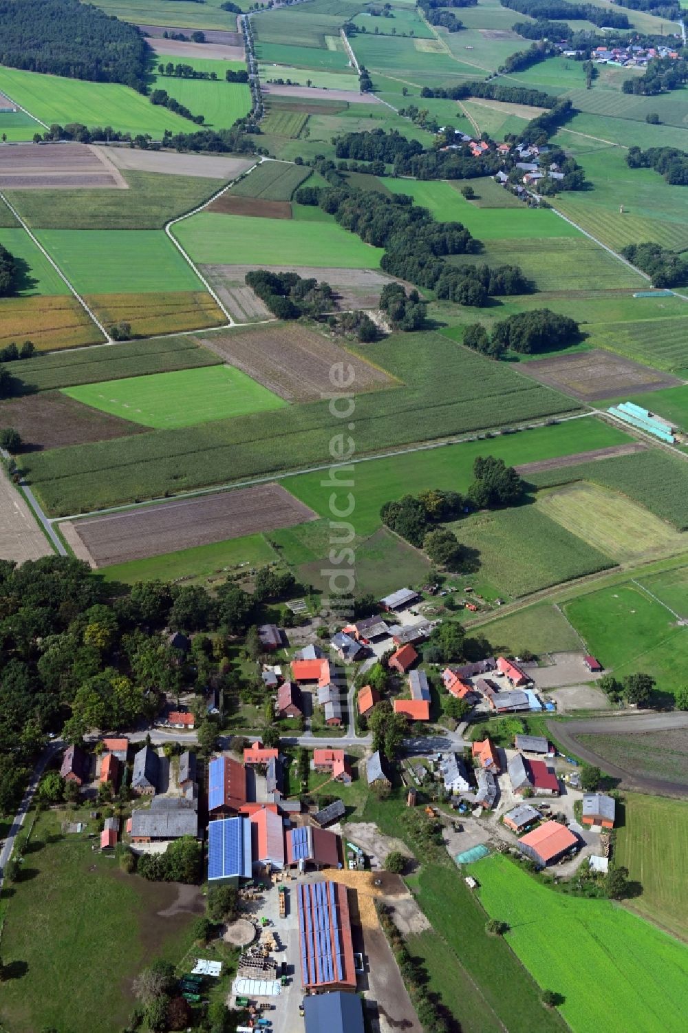 Teichlosen von oben - Dorf - Ansicht am Rande von Feldern in Teichlosen im Bundesland Niedersachsen, Deutschland