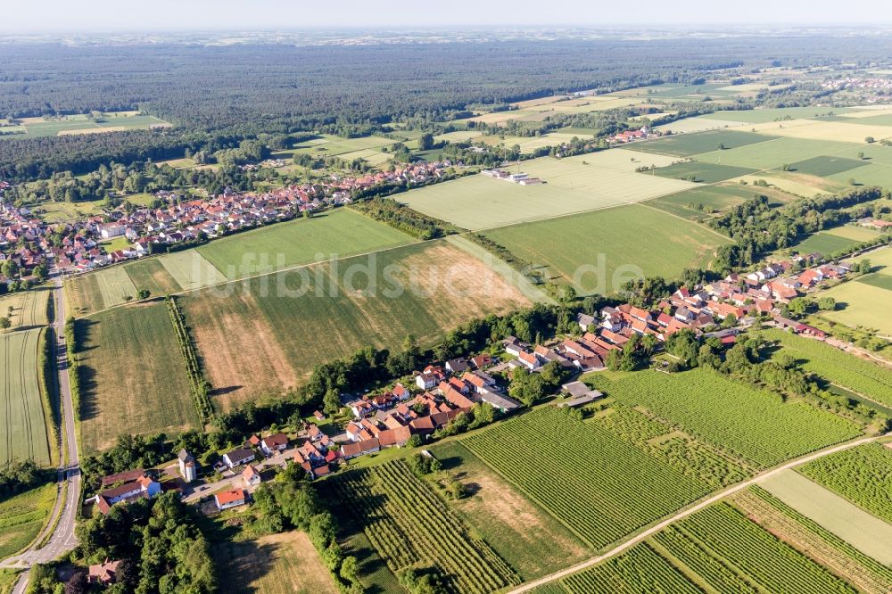 Vollmersweiler aus der Vogelperspektive: Dorf - Ansicht am Rande von Feldern in Vollmersweiler im Bundesland Rheinland-Pfalz, Deutschland