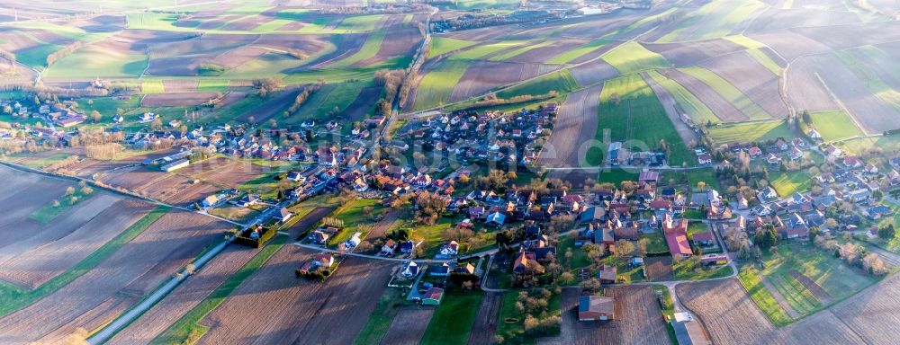 Wintzenbach von oben - Dorf - Ansicht am Rande von Feldern in Wintzenbach in Grand Est, Frankreich
