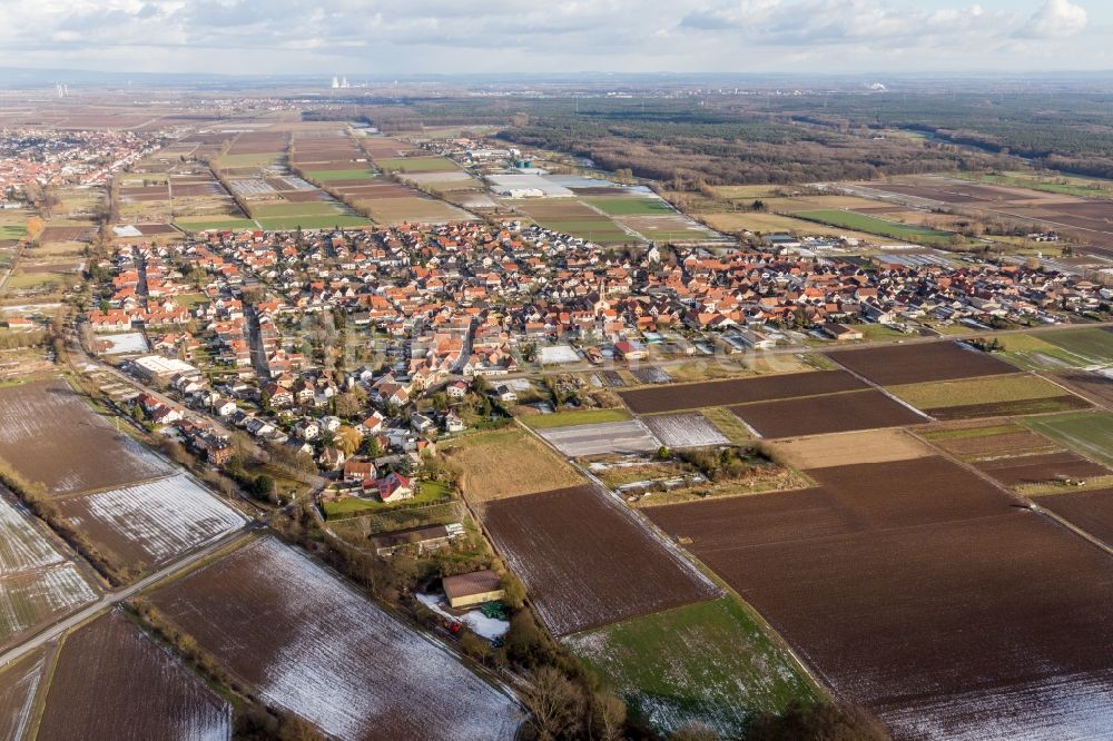 Zeiskam von oben - Dorf - Ansicht am Rande von Feldern in Zeiskam im Bundesland Rheinland-Pfalz, Deutschland
