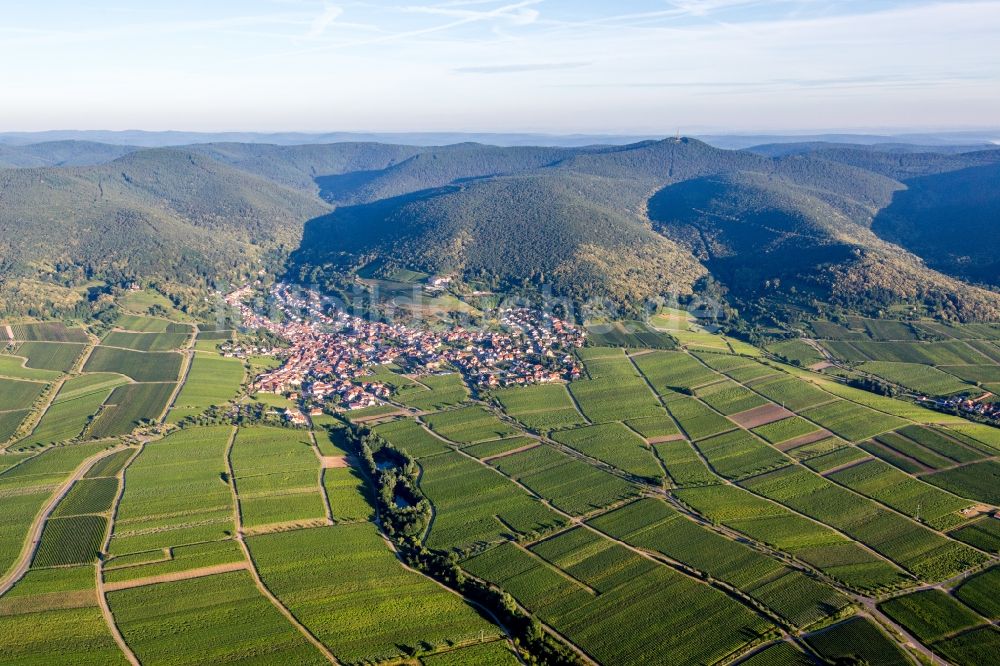 Luftaufnahme Sankt Martin - Dorf - Ansicht am Rande der Haardt des Pfälzerwalds zwischen Weinbergen in Sankt Martin im Bundesland Rheinland-Pfalz, Deutschland