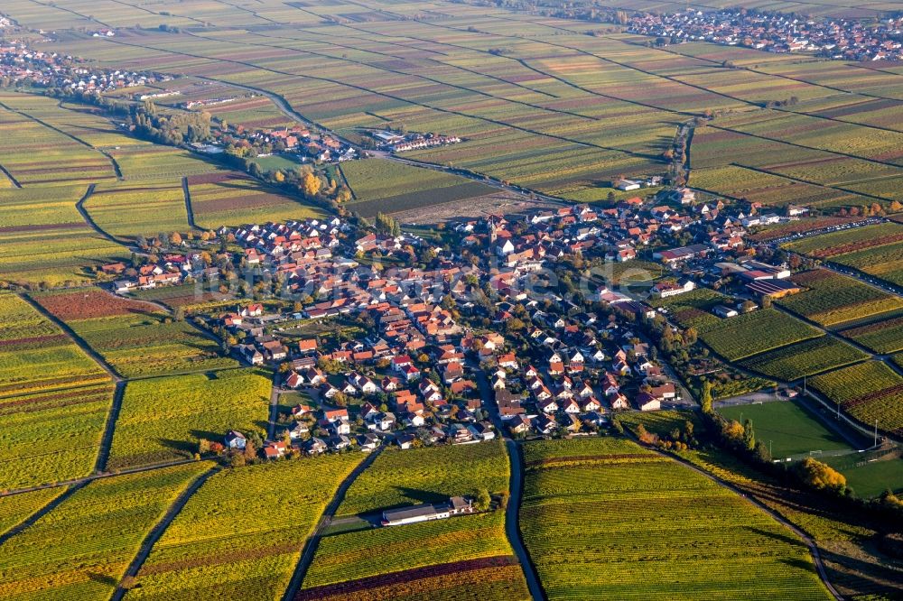 Hainfeld aus der Vogelperspektive: Dorf - Ansicht am Rande von herbstlich gefärbten Weinbergen in Hainfeld im Bundesland Rheinland-Pfalz, Deutschland