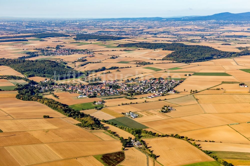 Luftbild Erbstadt - Dorf - Ansicht am Rande von landwirtschaftlichen Feldern in Erbstadt im Bundesland Hessen, Deutschland